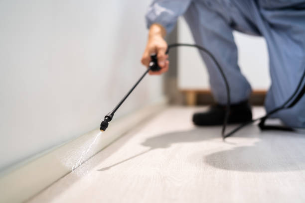 Licensed Termite Control service in Calhoun County County, GA - Nex Pest Control