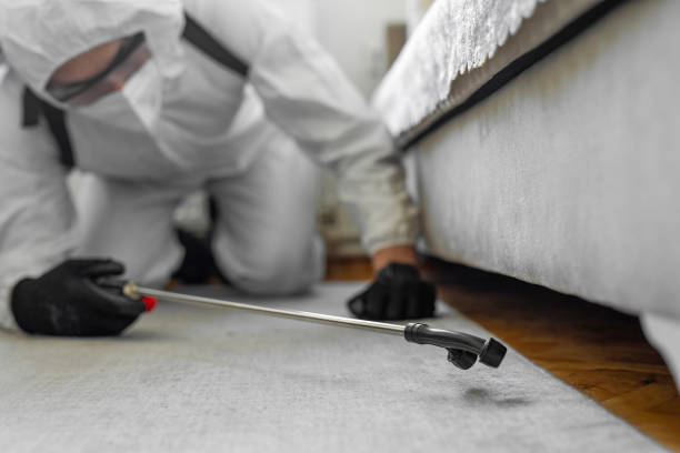 Professional Termite Control technician working in Calhoun County County, GA